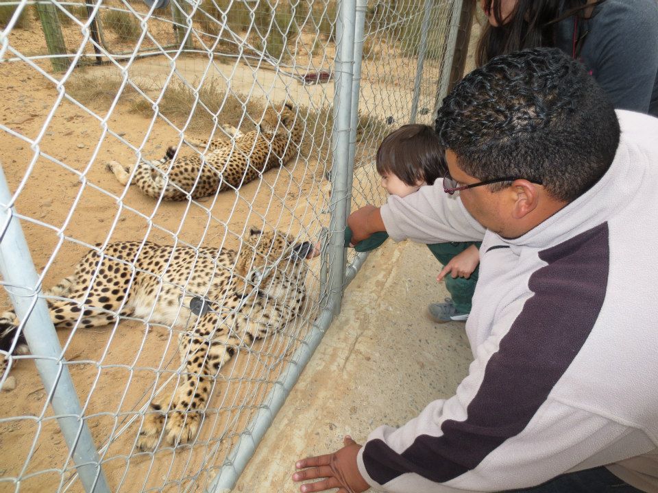 My boy petting a cheetah. 