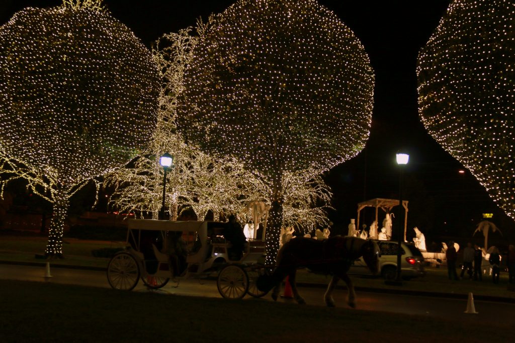 An evening horse-drawn carriage ride to go around the property and enjoy the beautiful outdoor decorations and lights